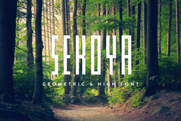 How Sekoya Transformed My Campaign Visuals