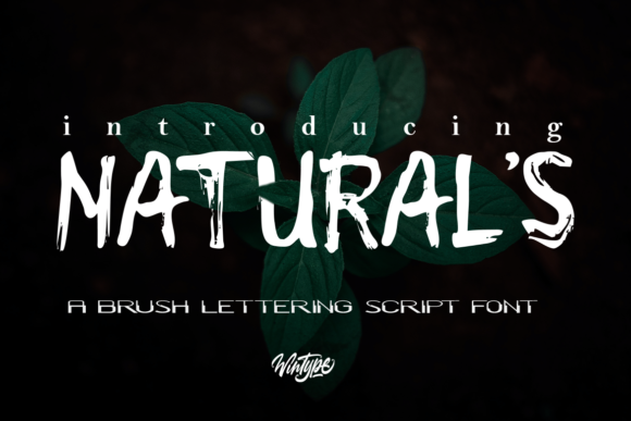 Natural s Font Review for Urban Branding